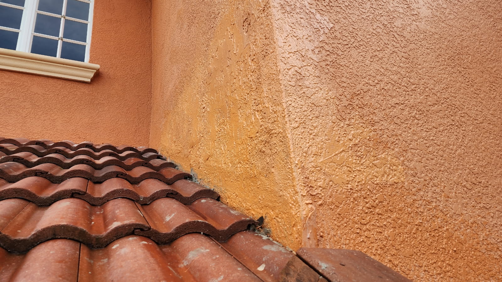 Pro Stucco Masonry and Concrete project photo, Tampa, FL
